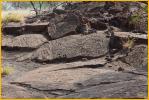 Petroglyphs
