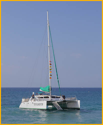 Whale Watching Boat