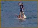 Paddle Surf Boarding