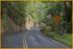 The Road to Hana