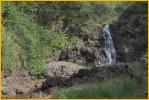 Waimea Falls