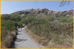 Trail to Top of Diamond Head