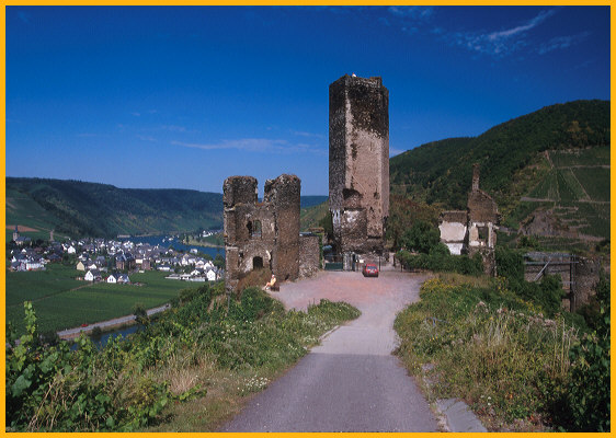 Metternich Castle.