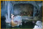 Linderhof Grotto