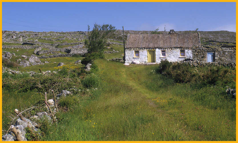 Stone House and Fences