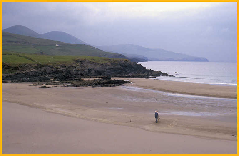 A Walk on the Beach