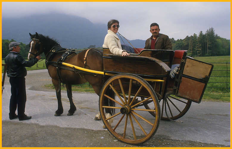 Going on a Pony Cart Ride