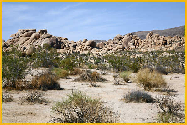 Rocks