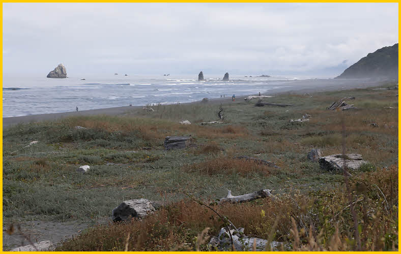 Sea Stacks