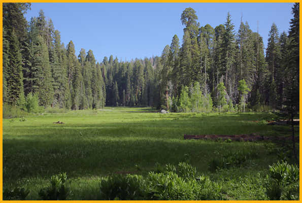 Crescent Meadow