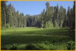 Crescent Meadow