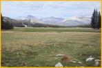Tuolumne Meadows