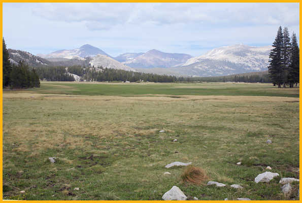 Tuolumne Meadows