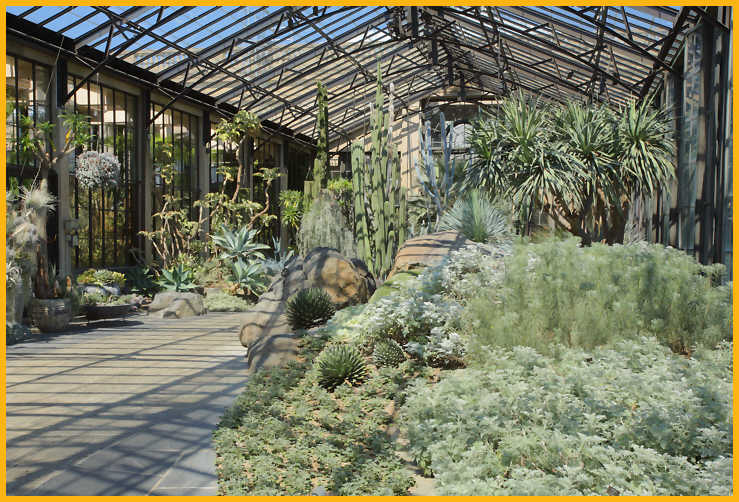Silver Garden