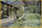 Silver Garden