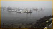 Boats and Fog