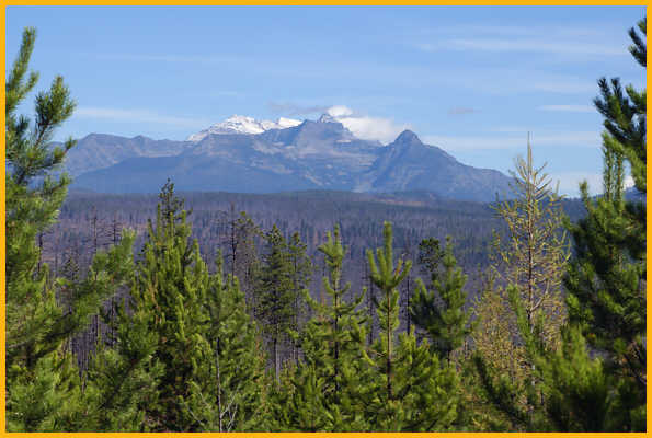 Distant View of Glacier NP