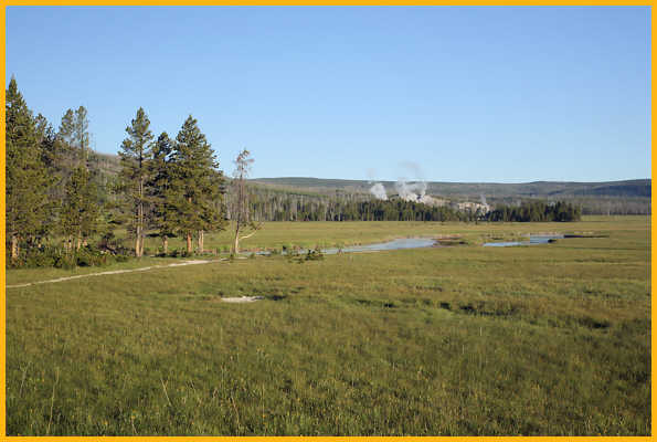 Gibbon Meadows