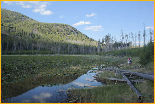 Harlequin Lake