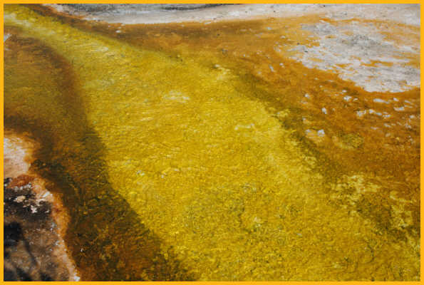 Runoff