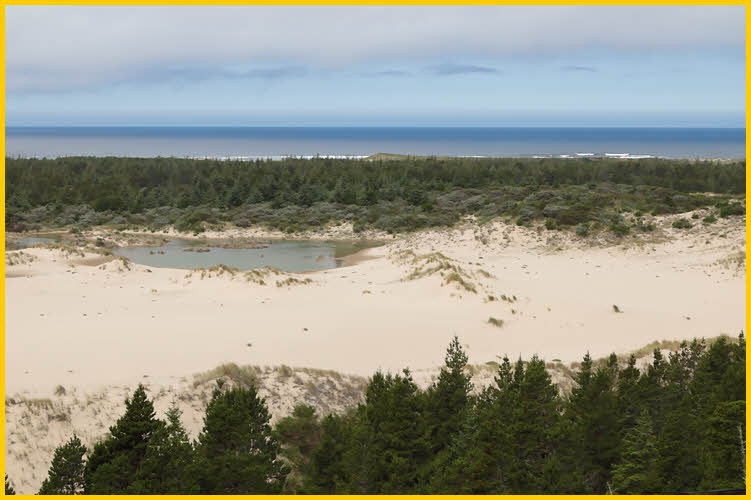 Oregon Sand Dunes
