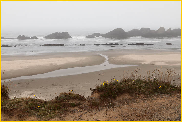 Rocks, Fog and Waves
