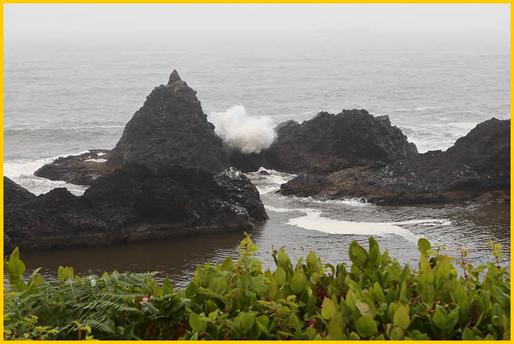 Rocks, Fog and Waves