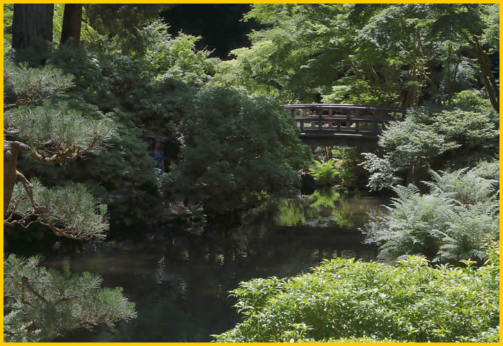 Bridge