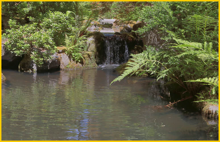 Pond