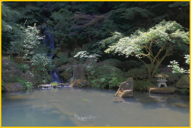 Pond