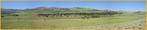 Lamar Valley