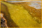 Runoff