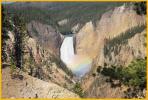 Lower Falls of the Yellowstone