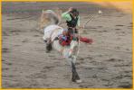 Bronco Riding