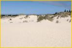 Oregon Sand Dunes
