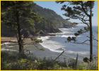 Heceta Head Shore