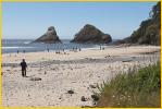 Heceta Head Shore