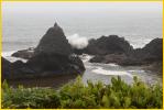 Rocks, Fog and Waves