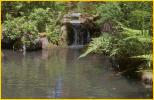 Pond