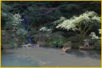 Pond