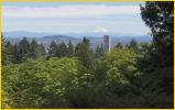 Portland and Mt Hood