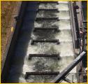 Fish Ladder