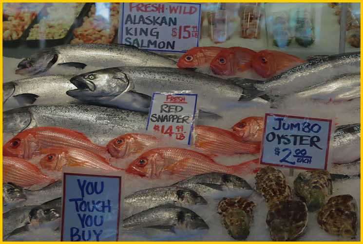 Fish