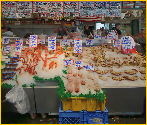 Fish Stand