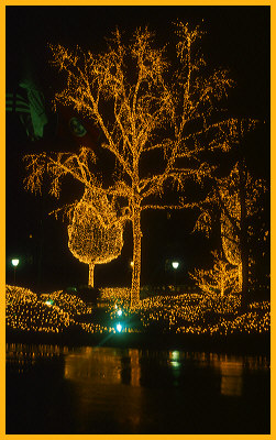 Christmas Lights