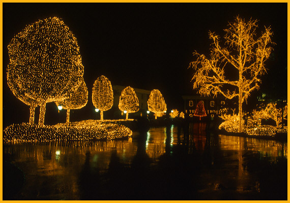 Christmas Lights