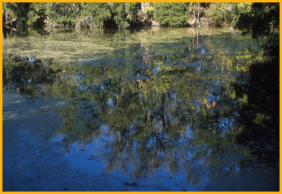 Reflections