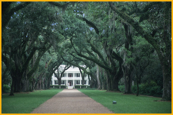 Rosedown Plantation