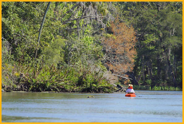 Kayak on River