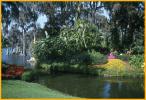 Cypress Gardens
